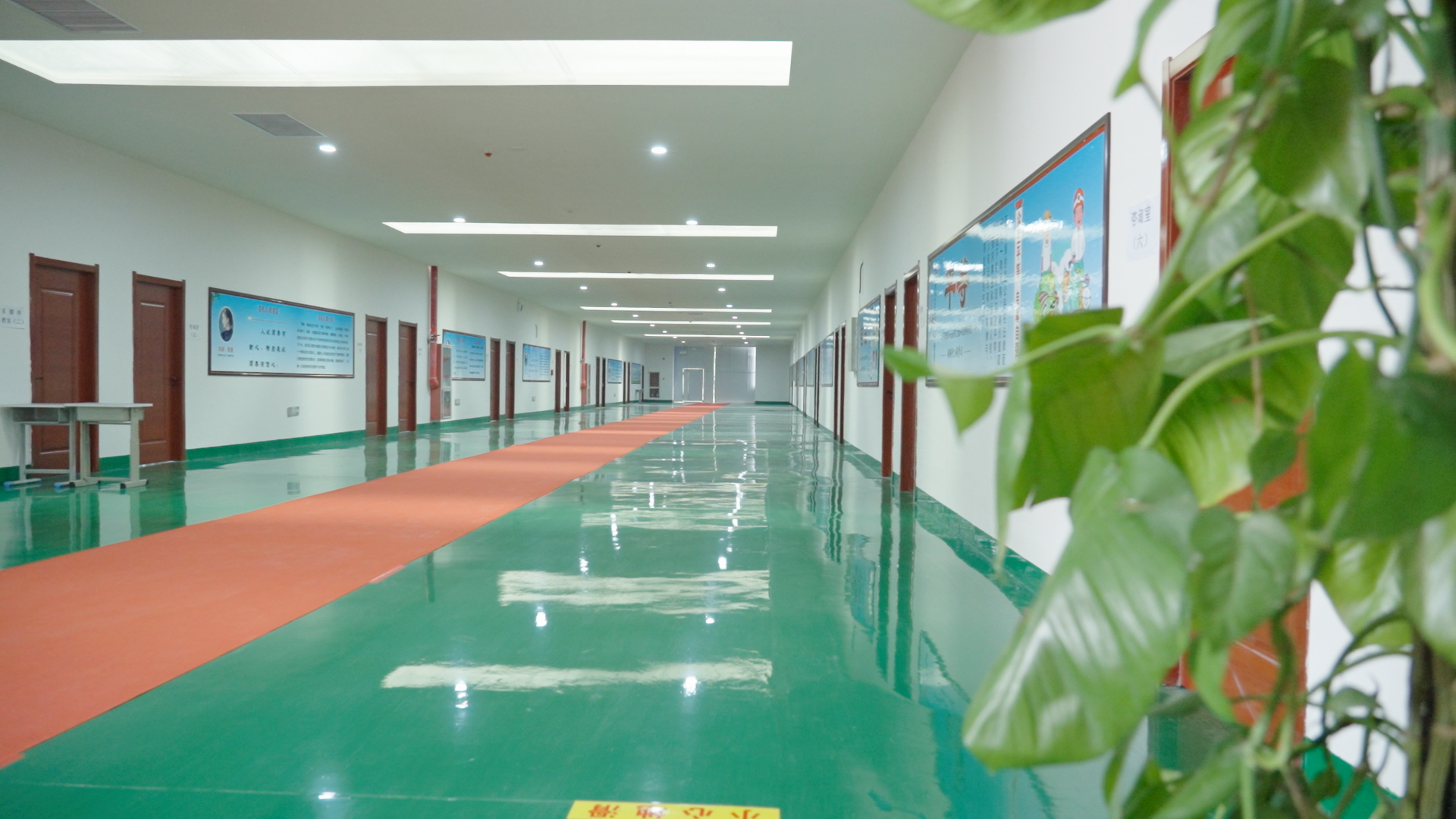 教学区